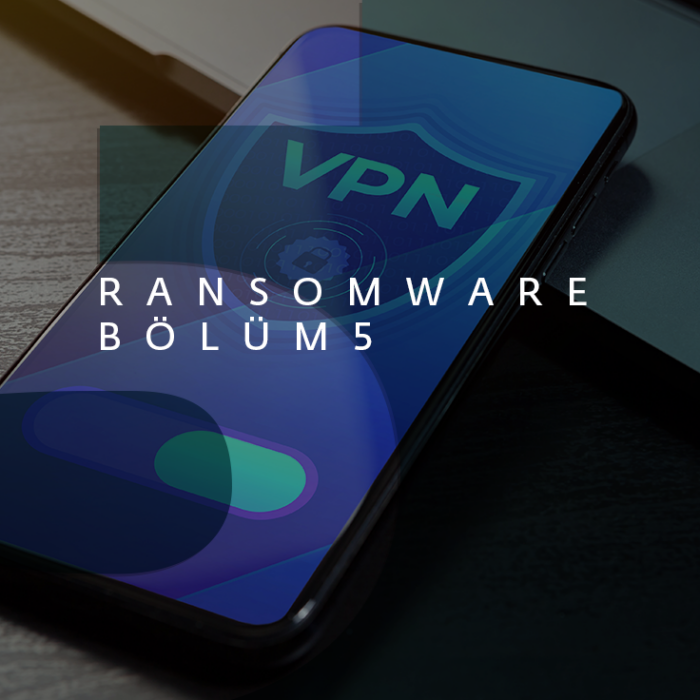 Fidye yazılımı: Bir kedi fare oyunu