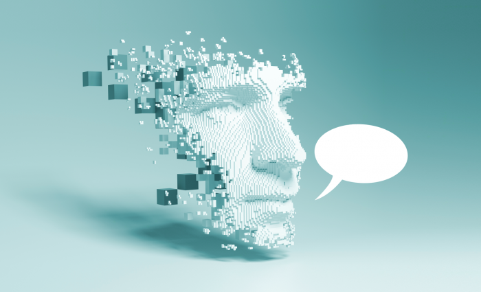 Sanal adam kaçırma