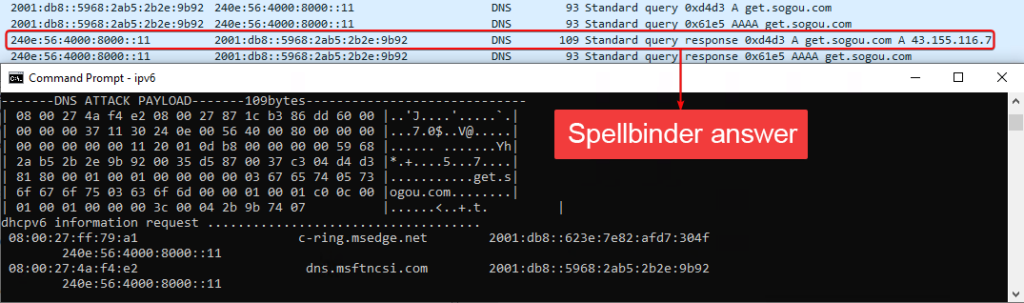 image-10 - antivirus.com.tr by ESET SLAAC